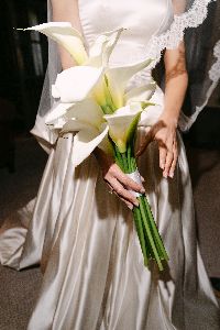 A bride holding a bouquet of white calla lilies
